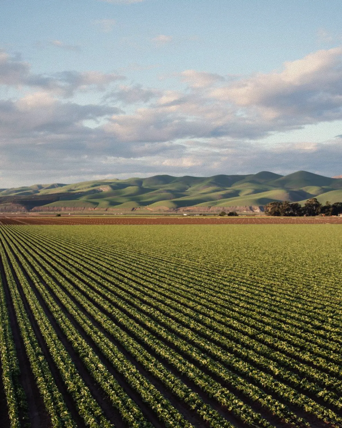 Sudima International website